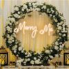 Mary me neon sign