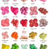 balloon arche colors