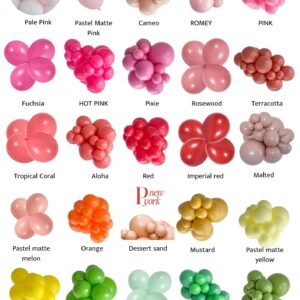 balloon arche colors