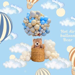 Hot Air Balloon arrangement