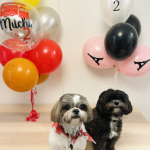 Dog balloon bouquet