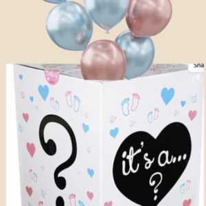 Gender reveal surprise Box