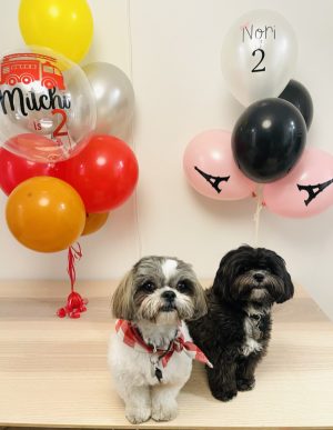 Dogs birthday balloons