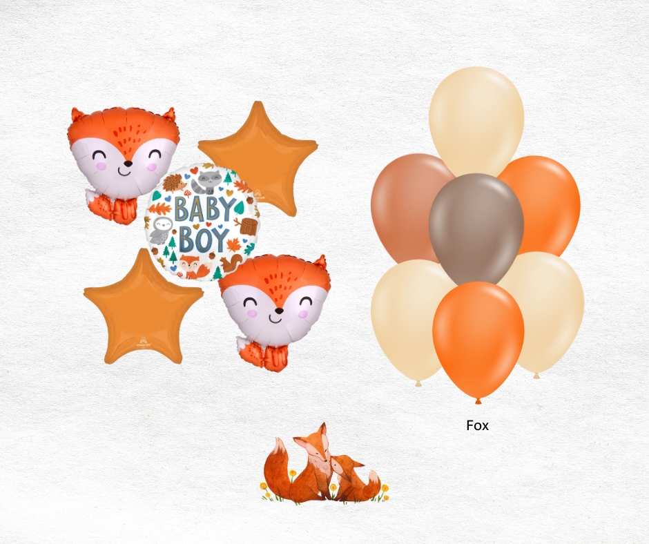 Bb boy fox