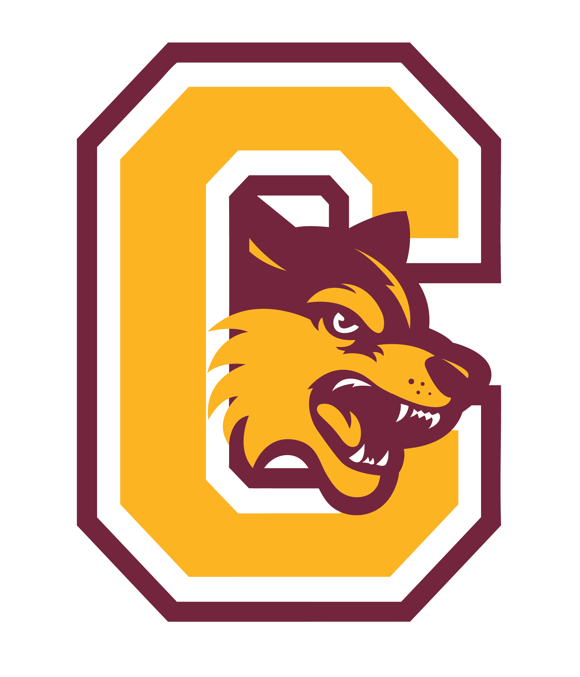 South colonie schools